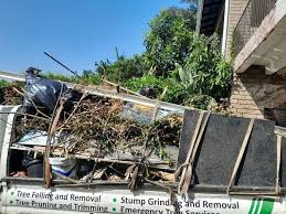Demolition Debris Removal in Alamo Heights, TX